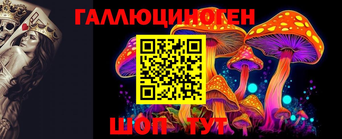 Галлюциногенные грибы Cubensis  Вход с VPN  купить  цена  Вичуга 
